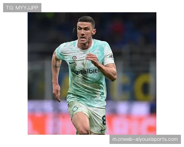 国米352体系限制边路空间 世界杯将成为对抗巴西队两翼齐飞的标准答案